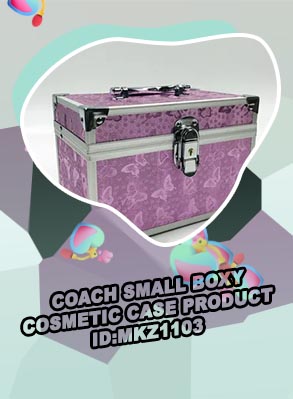 Boxy cosmetic case